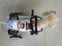 犬の車椅子　犬用車椅子　犬の車いす　犬用車いす　ドッグカート　歩行器　犬　車椅子　車いす　車イス
