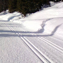 Activité ski de fond proposée à Giron en lien avec le gîte de Giron dans l'Ain