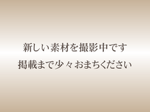 tsujikaDsign tsujikawebworks free photo