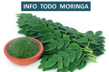 Información completa de la moringa, que es la moringa? para que sirve la moringa? que propiedades tiene la moringa? que efectos secundarios tiene la moringa?, cuanto vale la moringa? como se cultiva la moringa?