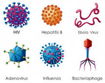 Virus menaçants - Cliquer pour agrandir
