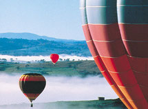 Balloons over the Hunter Valley
