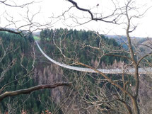 Hängeseilbrücke Geierlay Mörsdorf