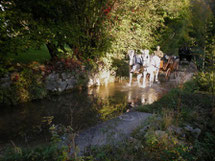 Ausfahrt mit Pferdegespann in der idyllischen Gegend von Leymen