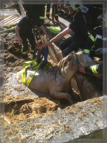 Foto: Feuerwehr Gelsenkirchen