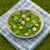 Frühlingssalat mit jungen Wildpflanzenblättern, Radieschen und Löwenzahnblüten auf einer blauen Picknickdecke im Gras.