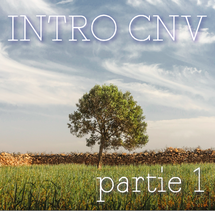 introduction à la Communication NonViolente vignette stage