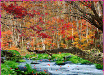 Flash Gifアニメ Keroppa ページ