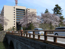 福井県庁で私塩なんです。販売中