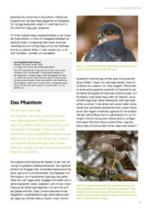 Zum Vergrößern anklicken