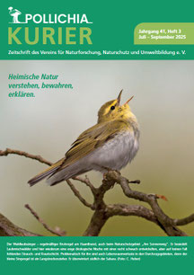 Zum Vergrößern anklicken