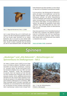 Zum Vergrößern anklicken