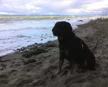 Erholung am Strand