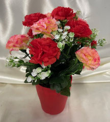 Petit pot Œillets 19 €