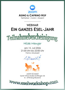 Beispiel