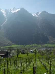 Blick Richtung Riedberg, Jakobiger, Ruchälplistock