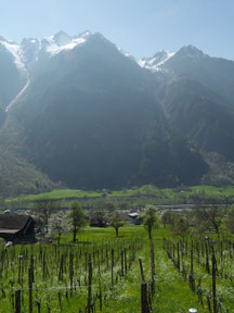 Blick Richtung Riedberg, Jakobiger, Ruchälplistock