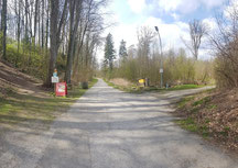 Schwerdfegerstraße - Blick nach Westen Keiserwald Stadtwald St. Pölten