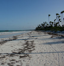 Zanzibar Beach