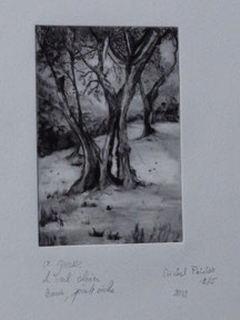 LE VIEL OLIVIER pointe sèche15x10