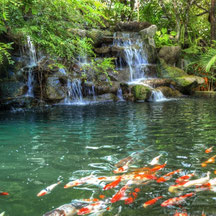 Jardin Botanique Phuket - Guide francophone