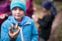 Spurensuche beim Herbstcamp - Gipsabdruck