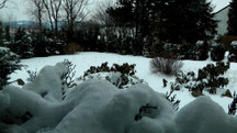 Blick durch mein Küchenfenster in meinen Garten vom Mittwoch den 13.03.2013 um 14:00 Uhr. Temperatur -3°C. Es gab über Nacht einen Schneesturm.