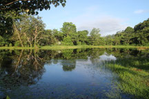 Costa Rica img-1234