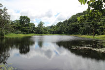 Costa Rica img-1150