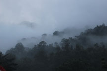 Costa Rica img-2149