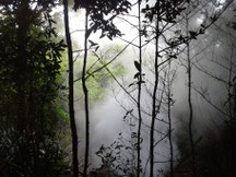 Costa Rica 20130717 133601