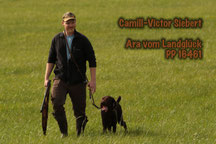 HZP in Villersbronn