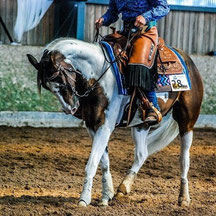 cheval western équitation chaps
