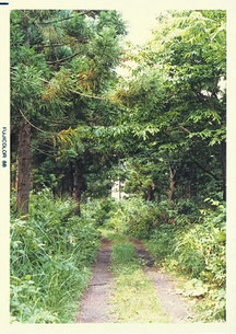 岩木山登山道