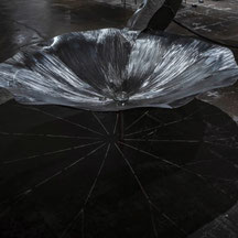 Masahiro Hasegawa「Lotus」