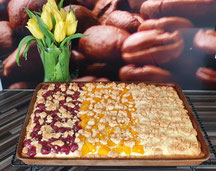 Familien-Käsestreuselkuchen großer Ofenzauberer James Stoneware Pampered Chef