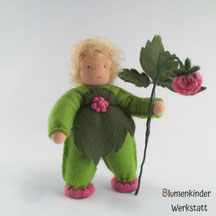 Blumenkinderwerkstatt Himbeerjunge