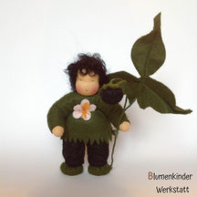 Blumenkinderwerkstatt Brombeerjunge