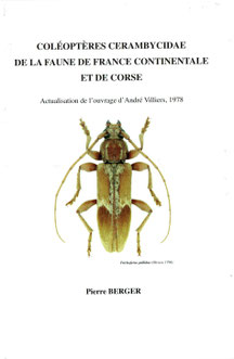 Coléoptères Cerambycidae