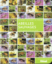 Ouvrage de vulgarisation d'espèces d'abeilles sauvages