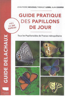 Guide pratique des papillons de jour - Papilionoidea de France