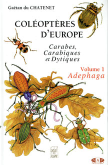 Coléoptères d'Europe - Adephaga