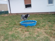 Ametz am überlegen, baden?