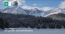 Bigorre en Scène
