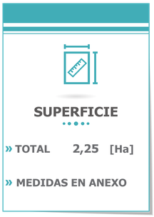 Se vende 1 hectárea sobre ruta 130 camino a Villa Elisa; Terreno en Pueblo Liebig