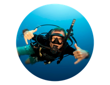 Picture of underwater diver mola mola sign for PADI Course