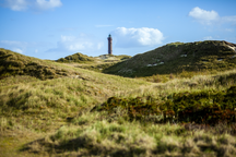 Dünenlandschaft auf Norderney mit Leuchtturm im Hintergrund