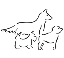 Schwarz-weiße Linienzeichnung von drei Hunden in verschiedenen Größen, die nebeneinander stehen.