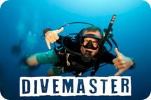 Devenir pro de plongée à Nusa Penida, stage divemaster PADI en Internship