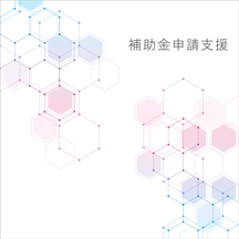 補助金を使って海外展開